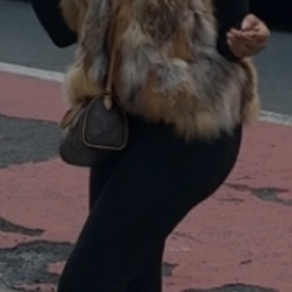 Multicolor Fur Vest - Picture 5 of 5